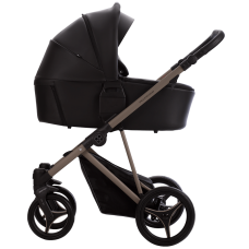 Универсальная коляска Bebetto Pelpasso Pro 03 Kashmir